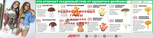 ешки Мегион