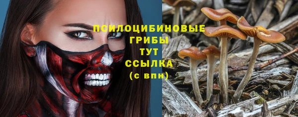 ПСИЛОЦИБИНОВЫЕ ГРИБЫ Красавино