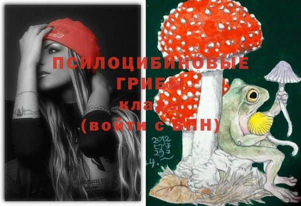 первитин Медвежьегорск