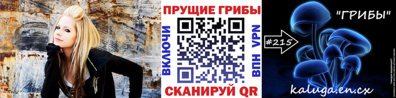 Галлюциногенные грибы Cubensis  кракен ССЫЛКА  Малгобек 
