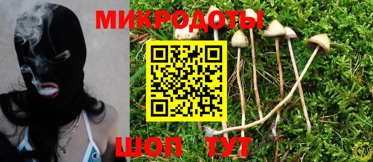 Псилоцибиновые грибы прущие грибы  Псилоцибиновые грибы Psilocybe  Малгобек  продажа наркотиков  Вход с VPN 