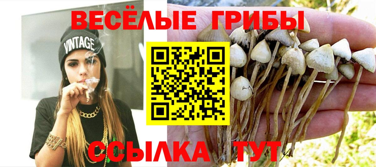 Псилоцибиновые грибы GOLDEN TEACHER Малгобек