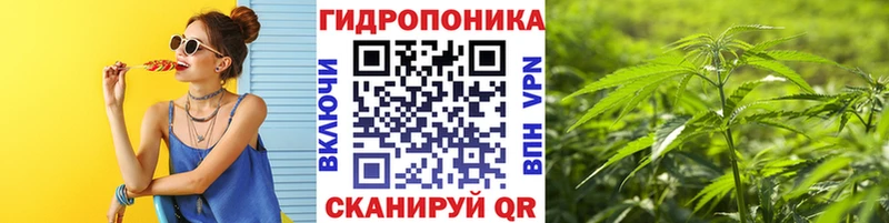 даркнет телеграм  Малгобек  Бошки марихуана MAZAR 